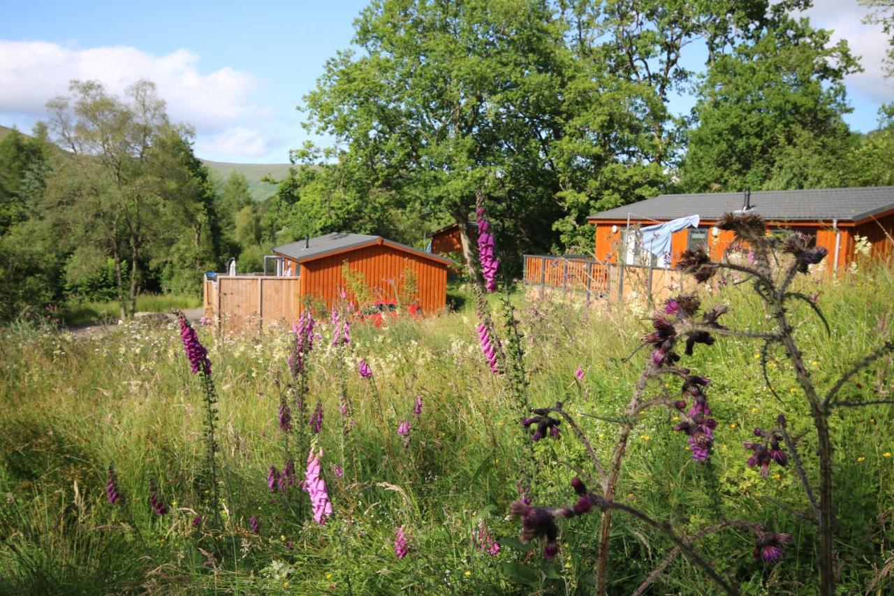 Balquhidder Braes Holiday Park Lodges, Mostly With Hot Tubs And Pet Friendly, Ev Facilities Лохернхед Экстерьер фото