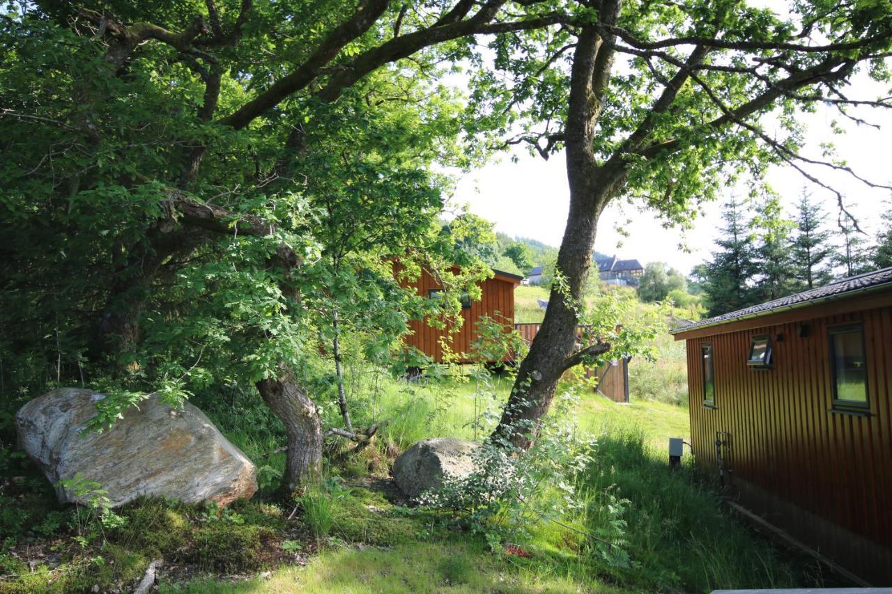 Balquhidder Braes Holiday Park Lodges, Mostly With Hot Tubs And Pet Friendly, Ev Facilities Лохернхед Экстерьер фото