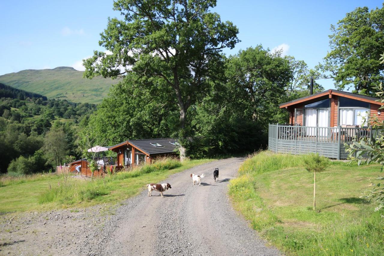 Balquhidder Braes Holiday Park Lodges, Mostly With Hot Tubs And Pet Friendly, Ev Facilities Лохернхед Экстерьер фото