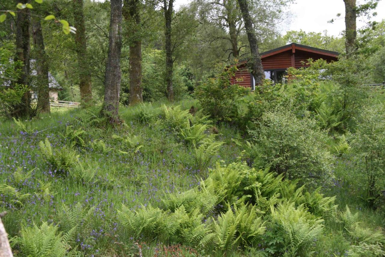 Balquhidder Braes Holiday Park Lodges, Mostly With Hot Tubs And Pet Friendly, Ev Facilities Лохернхед Экстерьер фото